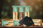MEGA BOX- Die ultimative Fitness Hybrid BOX- Proteinreiche Snacks, Fitness Tools, Workouts